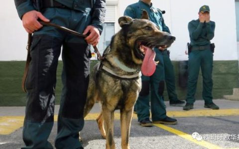 邻居与父亲发生争执后被杀 14岁儿子供认自己是凶手-邻居杀害小孩因嫉妒而死