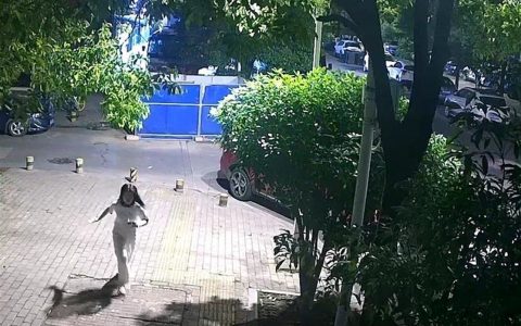 与父亲发生争执后，女孩半夜跑出门，家长无奈报警，武汉民警提醒教育孩子注意方法-女生跟父母吵架了怎么安慰