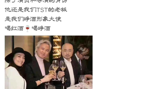 官方确认陶虹曾介入张庭公司，徐峥共关联10家企业，徐峥被曝为TST公司“峥酒”的代言人（陶虹和张庭是合伙人吗知乎）