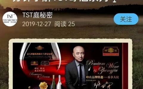 徐峥被曝是TST公司红酒代言人，《穿越时空的爱恋》会被下架吗？（徐峥老板）