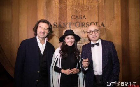 徐峥到底是TST的“大老板”还是代言人（徐峥是哪个公司旗下艺人）