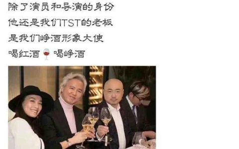 徐峥被曝是TST公司红酒代言人 张庭为什么说他是公司老板？（徐峥泰囧分红）