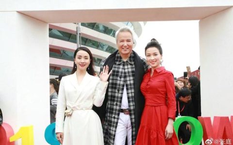 陶虹从张庭涉传销公司分红4.2亿？徐峥与张庭夫妇公司无股权关联，被曝是TST公司红酒代言人（陶虹和张庭一起演过什么电视剧）