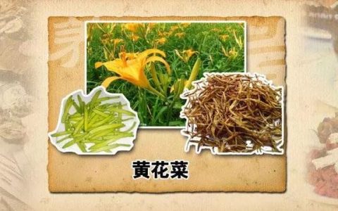 脑不萎缩，80不痴呆！建议中老年人：多吃1样“补脑菜”，增强记忆力，大脑更灵活-老年人脑萎缩吃什么保健品效果最好
