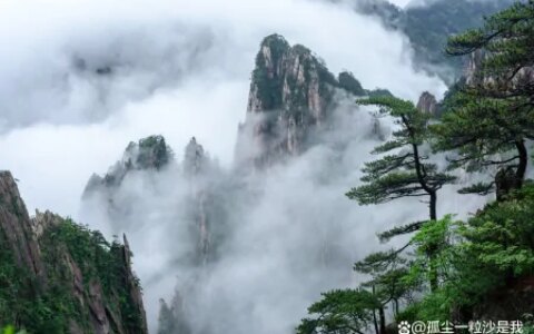 寻找黄山美食的扛把子，你心中的NO.1是它吗？-黄山特色美食攻略