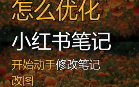 小红书笔记怎么优化？怎么修改？（小红书怎么提高）