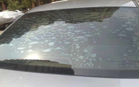 车窗膜气泡怎么办？撕膜会导致后窗玻璃报废？撕还是不撕？-车窗膜起泡了怎么撕下来视频