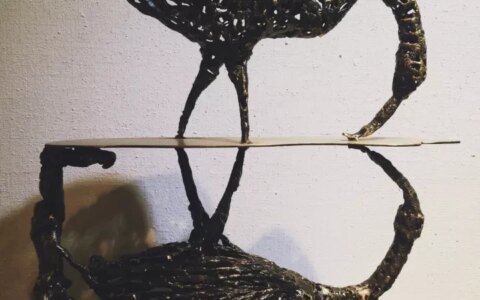 乐小点笔记 | 遇见798-乐点点app骗局