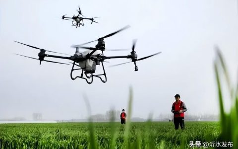 #网络中国节·清明#关于清明节，还有这些你不知道的习俗（帮我搜一下关于清明节）