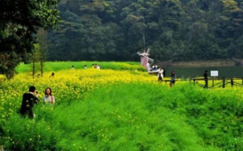 4月5号清明节，家中备好这“3食1酒”，传承传统，平安顺遂（清明里面的酒家是什么意思）