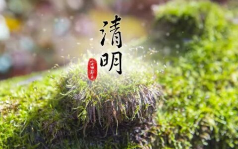 4月5日清明节，不管多忙，这5种食物别忘吃！祖宗的老传统不能丢（清明节的时候吃什么）