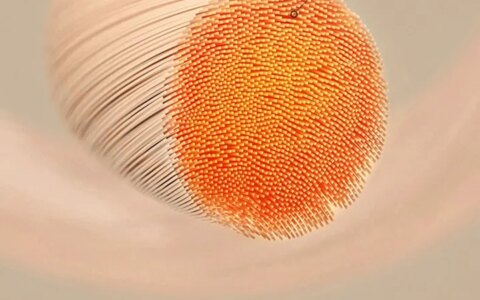 超火的德绒是什么？如何选择德绒保暖内衣？-德绒保暖内衣到底好不好