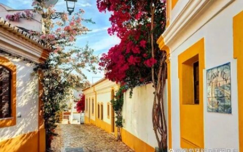 葡萄牙买房移民要求：办理购房移民项目时需要注意哪些问题？（葡萄牙购房移民条件）