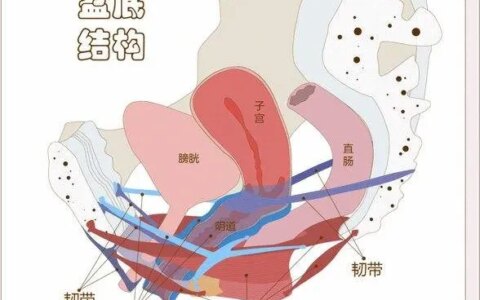 产后有必要做产后修复吗？花钱做产后修复是不是等于交“智商税”？-有没有必要花钱做产后修复