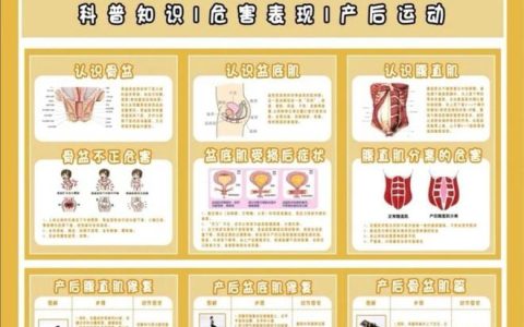 宝妈收藏|产后修复最全攻略告别妈妈肚-产后修复是怎么修复盆底肌的
