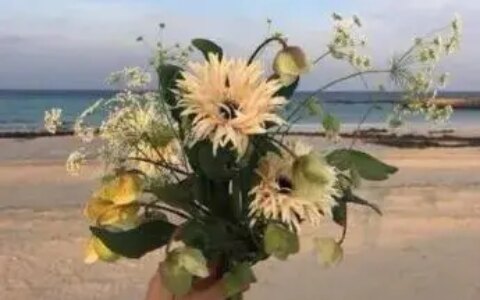 高考加油文案：祝福和勉励考生的励志语录-高考加油祝福励志语短句子