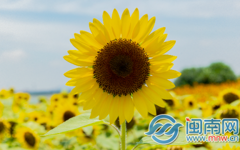 高考加油鼓励语简单 2021高考加油文案2抖音很火的高考加油句子-高考加油鼓励词