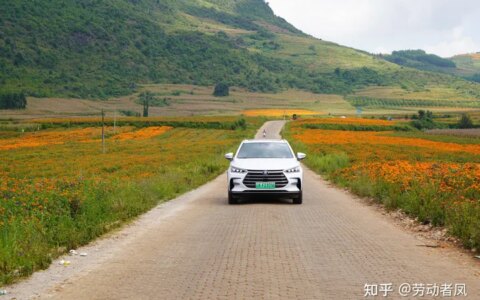 唐DM-i每天一个小技巧，用车没烦恼——轮胎故障处理补胎液的使用-唐dm换胎后胎压监测信号异常