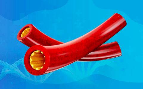 掌握4种方法，不吃药，平均降低10mmHg的降压方案来了-不吃降压药快速降压