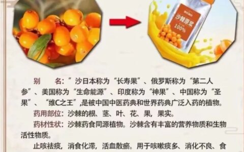 沙棘原浆功效与作用，沙棘原浆用量（沙棘原浆功效作用与主治）