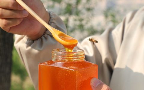 枣花蜜的功效与作用及禁忌?枣花蜜适合什么人群?（枣花蜜的作用与功效及食用方法禁忌）