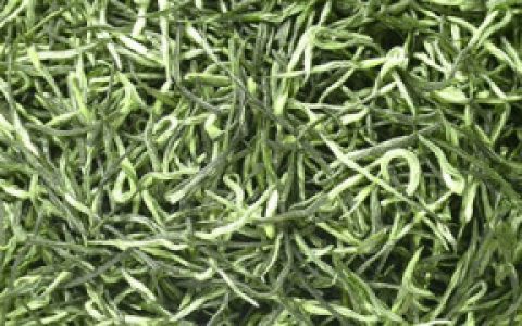 北港毛尖特点，北港毛尖品质特征-北港毛尖产地