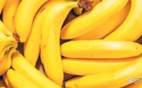 因为太常见 所以被你忽视 香蕉的8种健康益处你了解吗（香蕉有哪些好处）