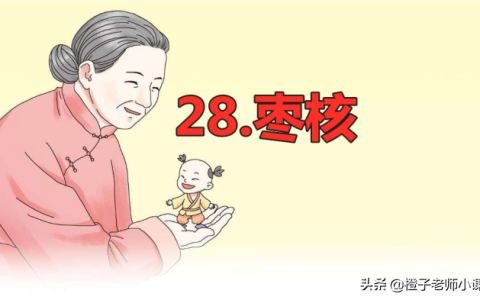 三年级课本《枣核》，语文老师整理笔记，体会枣核聪明勇敢-枣核课文三年级下册视频