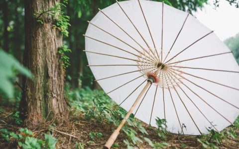 104个多音字，一句话就说完了！-108个多音字大全带拼音