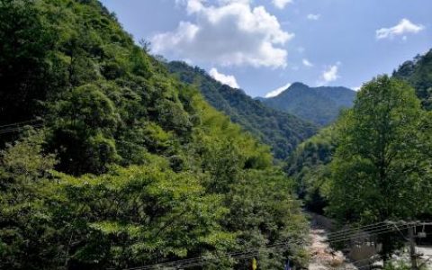 浙江一个国家级自然保护区，拥有千米以上山峰17座（浙江自然保护区名录）