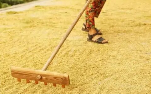 我国哪个省份所产的粮食能够实现自产自足？（全国生产粮食最多的省份）