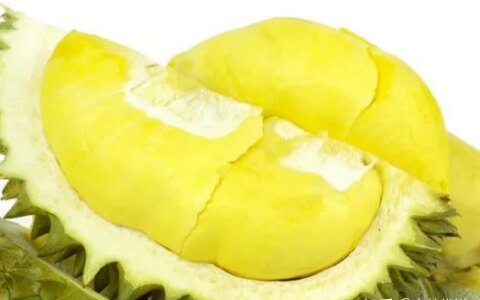 有机水果榴莲的功效与作用有哪些？（水果榴莲的作用是什么意思）