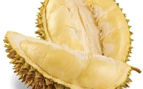 吃榴莲对身体有哪些益处？（吃榴莲对身体有没有好处）