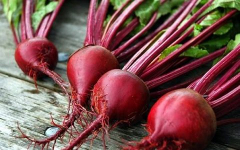 甜菜有这些营养价值和功效，看一看它的家常菜做法！（甜菜有哪些及做法）