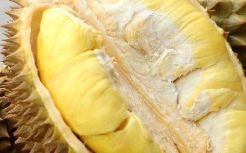 一个榴莲的营养价值高吗，吃榴莲要注意什么，吃榴莲会发胖吗？（一个榴莲几个人吃合适）