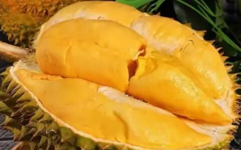 冰冻过的榴莲好吃吗？榴莲有什么效果？哪个牌子的榴莲最美味？（冷冻后的榴莲还能吃吗）