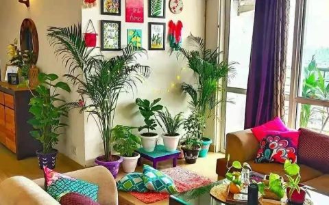 7种“贵气花”，不晒太阳一样旺，客厅一放，名贵又有范儿（盆栽贵花养植方法图解）