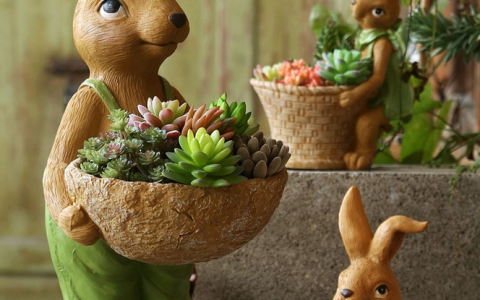 5种“小盆景”，比大树还值钱，客厅养一盆，能香几十年（小盆景叫什么）