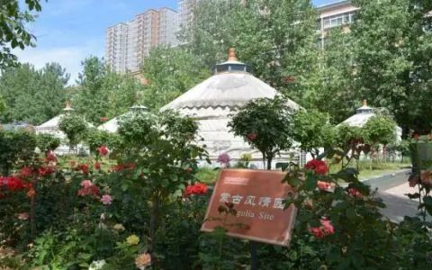 秦汉新城数十万株名贵花卉陪你过五一！（秦汉新城花海在哪里）