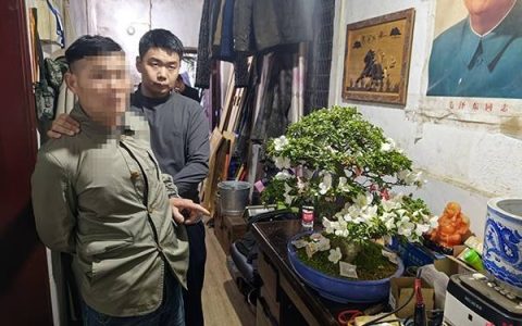 男子盗取名贵花卉欲移栽父亲墓前被抓获（盗窃花盆如何定价）