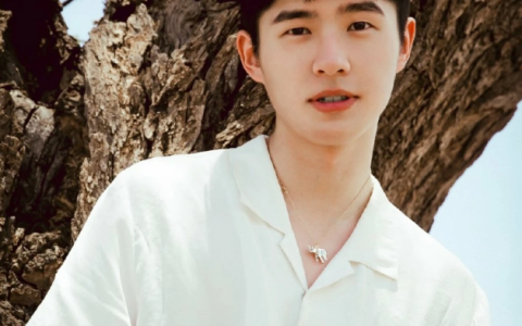 刘昊然，2次减肥20斤方法，快速暴瘦的方法曝光，3个秘诀分享（刘昊然瘦二十斤）