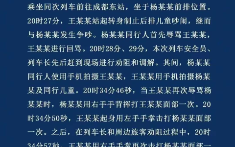 高铁掌掴到宜宾父子被群殴后还手：给我们上了典型的互殴课-宜宾高铁到站时间查询