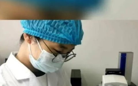 辽宁首次抓获四只金蚊子，万一被它咬一口，影响有多大？-辽宁警方缴获毒品15.7公斤 跨四省贩毒案成功收网