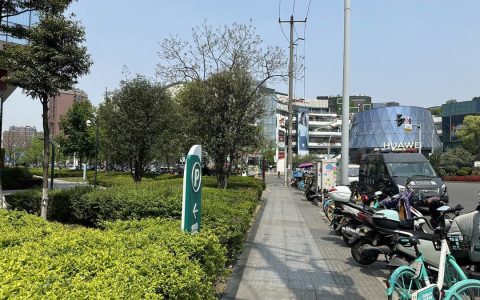 成都升温 街头千足虫“集体出游” 昆虫学家：不要触摸不会咬人-千足虫介绍