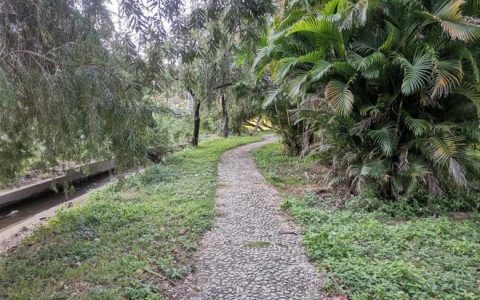 成都升温千足虫满街爬 满屏鸡毛疙瘩-成都升温千足虫满街爬囗