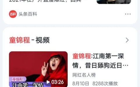 我眼中的童锦程（我眼中的童年作文700）