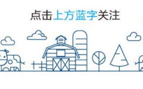 2022年驾照新规！看看都有哪些新变化？-2022年驾照新规!看看都有哪些新变化呢