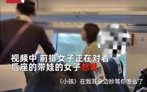 “女子因婴儿在高铁上哭闹和宝妈对骂”引争议，其实高铁有静音车厢，不能带婴幼儿-高铁上孩子哭