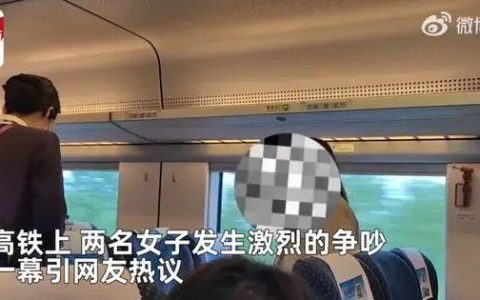 高铁上女子和宝妈对骂：“不要带个孩子就不得了”-女子高铁辱骂母亲后弃母下车