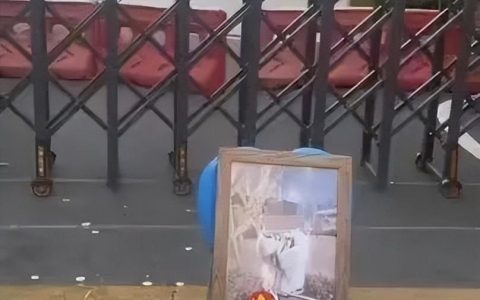 哀莫大于心死！武汉校内小学生被撞事件升级，孩子的母亲坠楼身亡-武汉一小学生校内被老师驾车碾轧致死